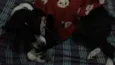 Belinha