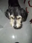 Neguinha