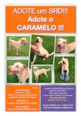 CARAMELO