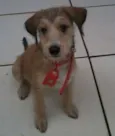 Tonny