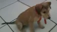 Tonny