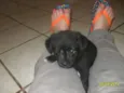 Bolinha