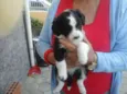 Beethoven