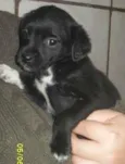 Lola