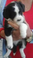 Beethoven