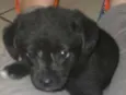 Bolinha