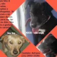 NICK / JEY JEY
