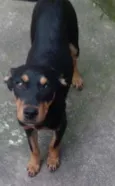 Mel