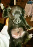 Susy!