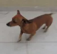 Tobias