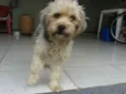Gina