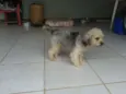 Gina