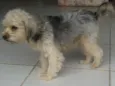 Gina
