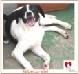 REBECA
