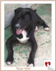 TICO