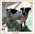 ARUSKA
