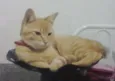 Diego