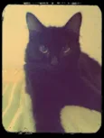 Penelope