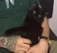 Penelope