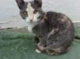 Coralina e Kaka
