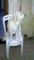 Mãe e Bebes