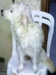 Mãe e Bebes