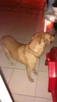  Boris