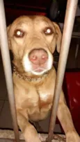  Boris