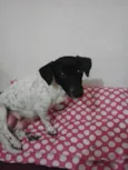 sem nome