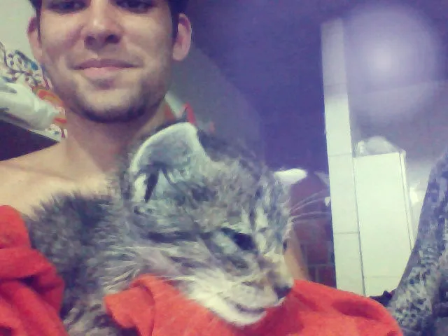 Gato ra a  idade Abaixo de 2 meses nome Kinha