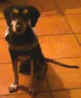 Zé