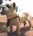 Encontrado