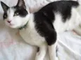 Félix