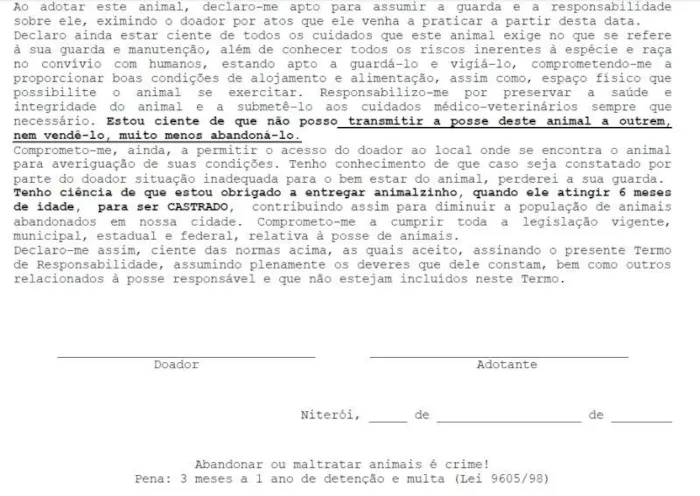 Gato ra a SRD idade 7 a 11 meses nome Félix