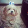 Luck
