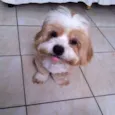 Luck