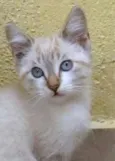 Marie