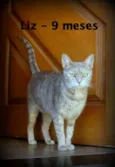 Liz