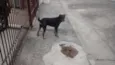 ?