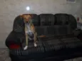 Anita