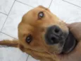 Anita