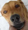 Anita