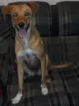 Anita