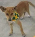 Luz