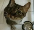 Nina