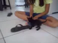 Nina