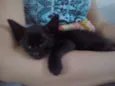 Nina