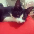 Lili