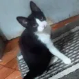 Lili