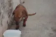 não sei